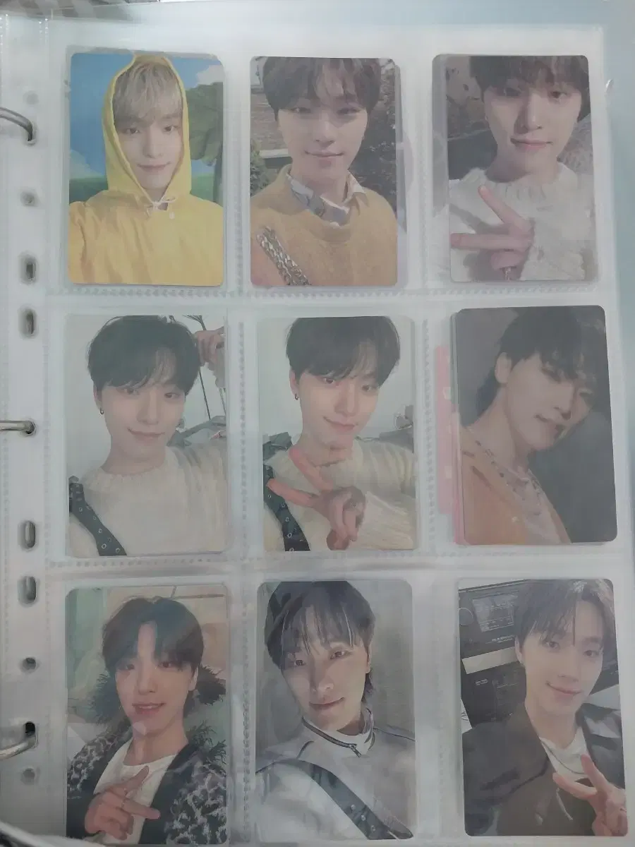 세븐틴 디노 포카 일괄판매