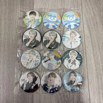 팬더 드래곤 타이카 씨 캔뱃지