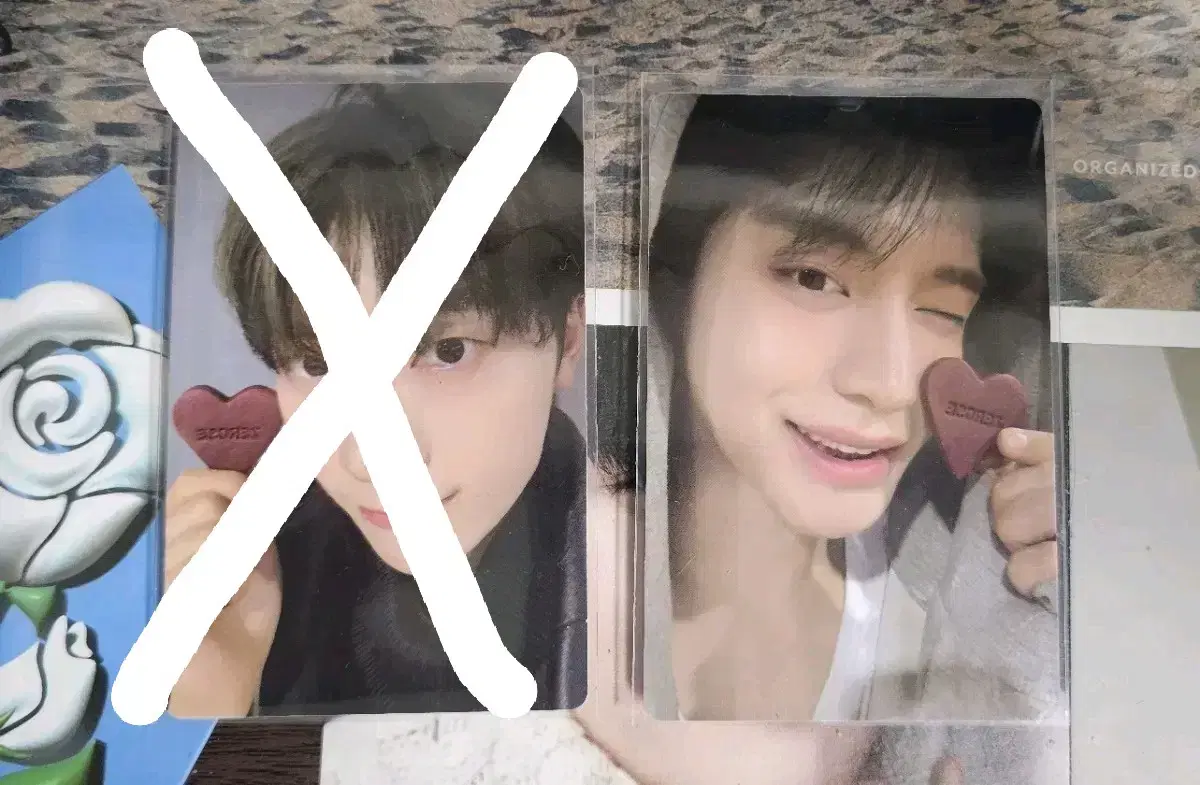 Zerobaseone Rose in Love Cookie Seok Matthew Kim Jiwoong