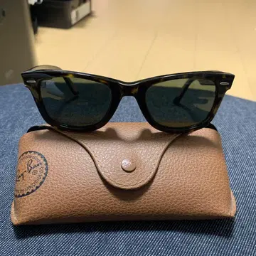 Ray Ban 레이밴 웨이퍼러
