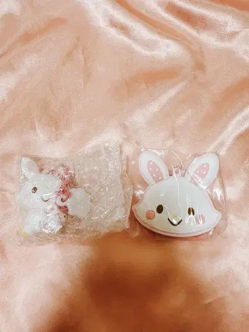 위시미멜 산리오 시크릿 참 캐릭터 대상