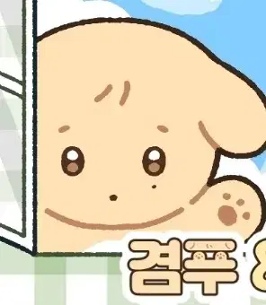 세븐틴 동물인형 도겸 겸푸