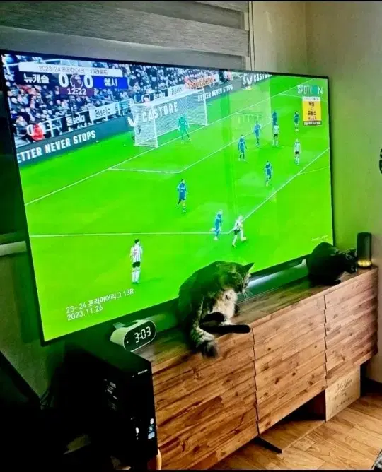 lg 올레드tv77인치77c9KNA