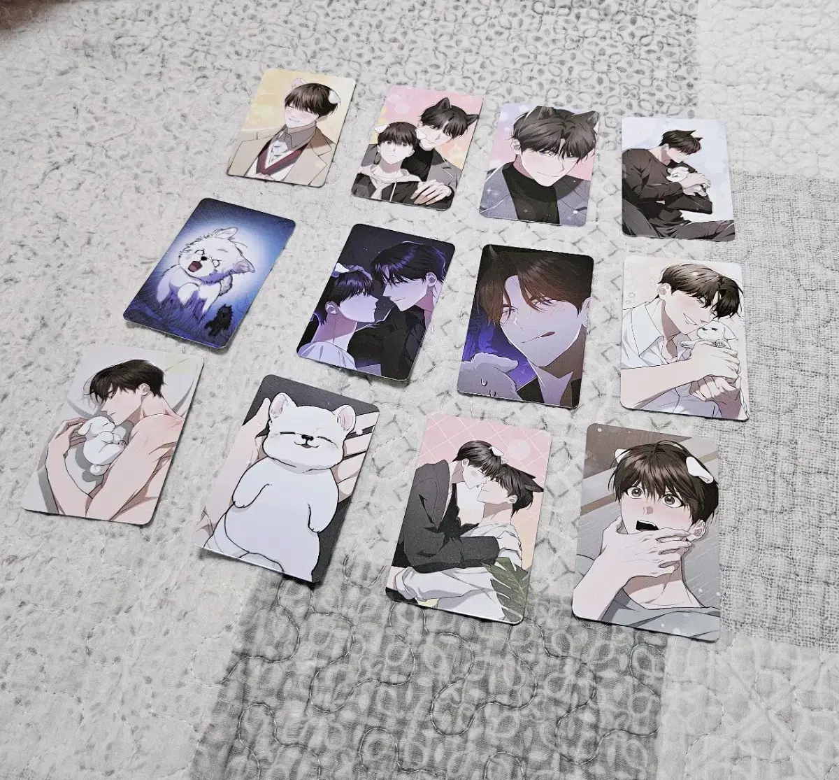 Gang Geon-ma Don't Touch The Puppy Poca Photocard bl Full Set