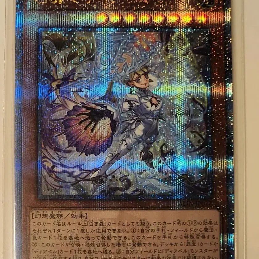 PSA9 鉄壁クルセイダー ダクネス SP サイン このすば サイン 鉄壁クルセイダー”ダクネス KS-W55-002SP Weiss Schwarz