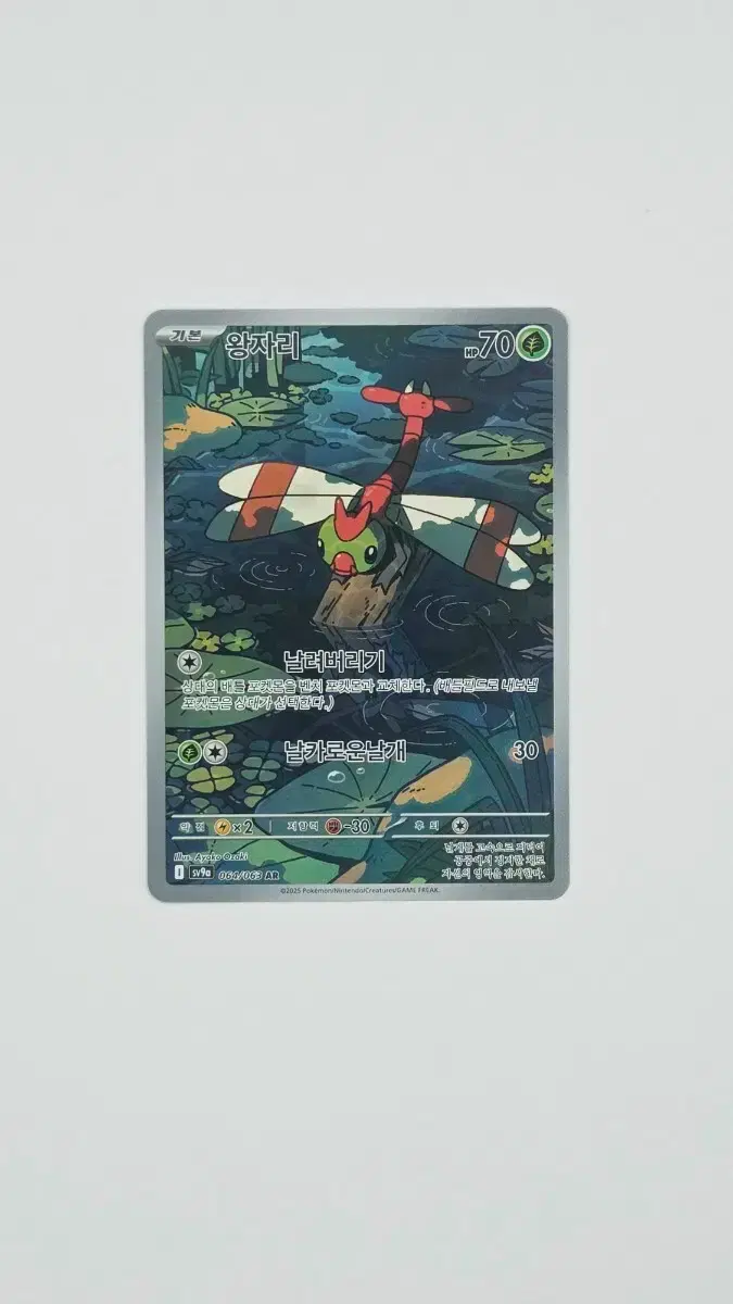 Yanmega AR (Rage of Arena) #메가자리ar on Bunjang Global Site.