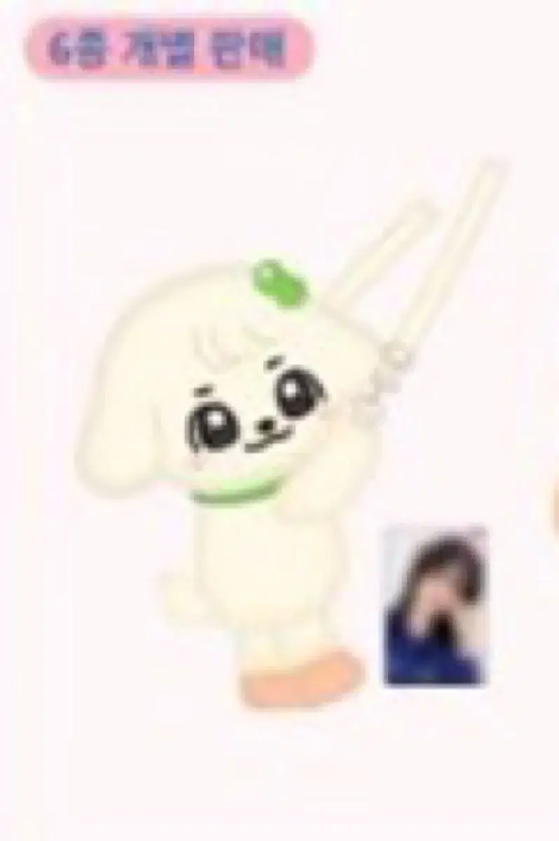 (강안지) 아이브 미니브 판매 (새상품)
