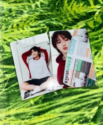 BOYNEXTDOOR CAFE 클리어 카드 세트 송호 운학