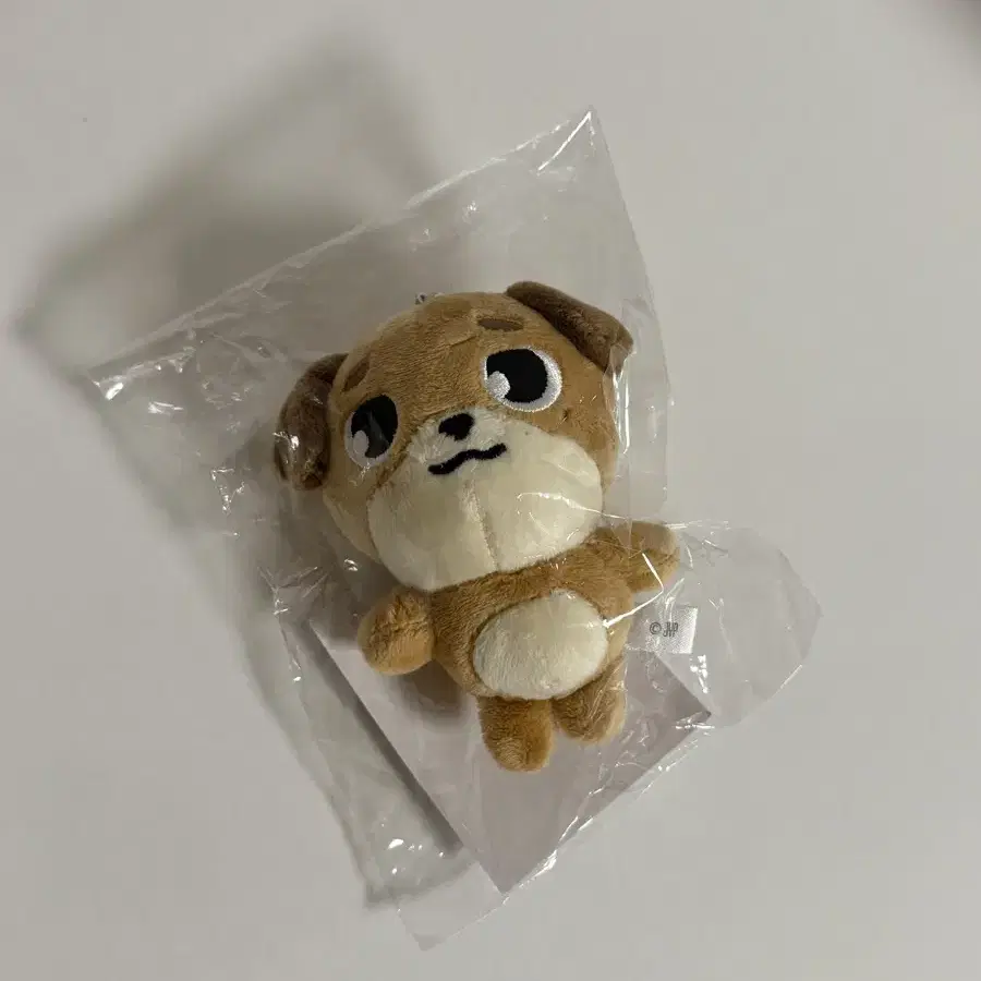 売れ筋介護用品も！ 데이식스 | DAY6 New on Charm Bag MD Japan Denimals Dey6 アイドル