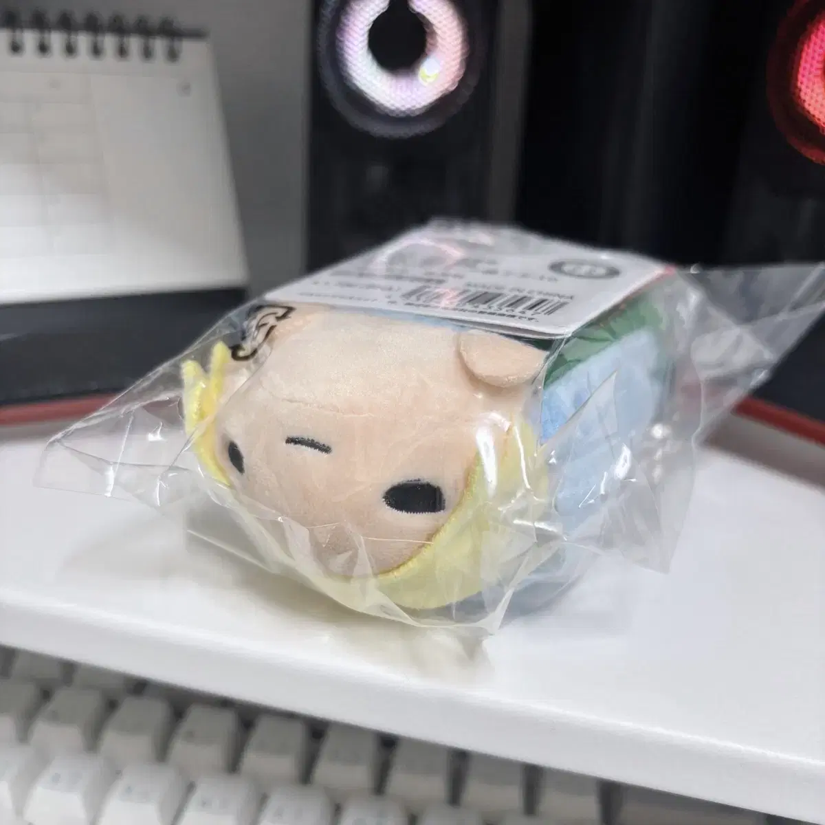 Sealed New Tsumu Norukyara Asakura SakamotoDey Nui