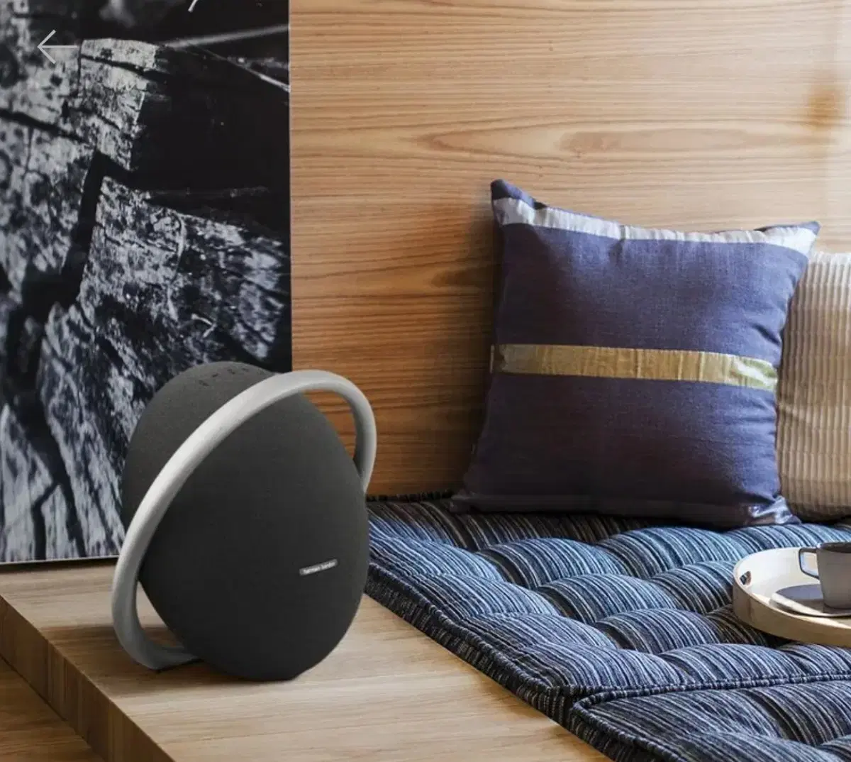 Harman Kardon Onyx 8 New Product (Bluetooth Speaker)