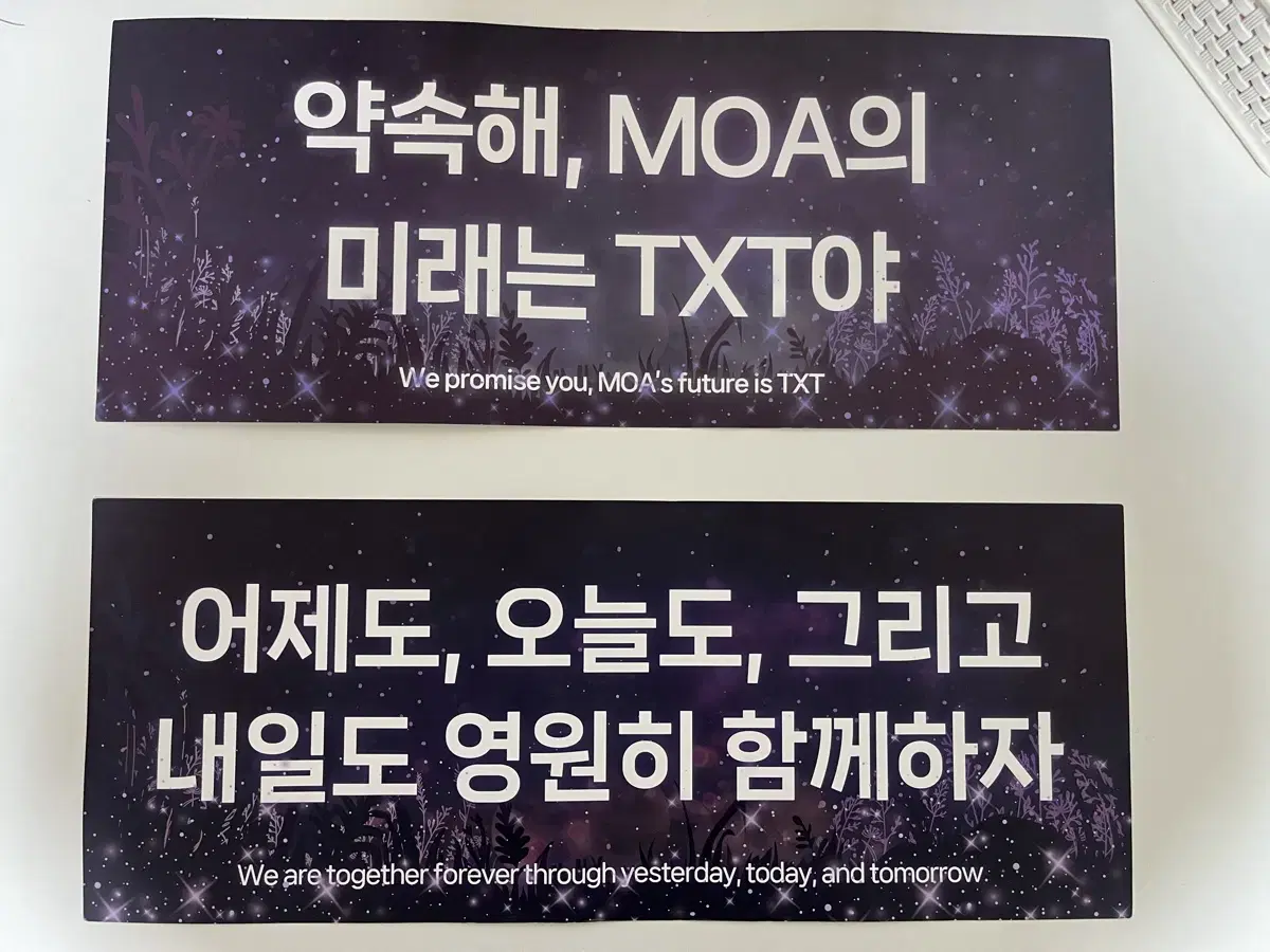 투바투 콘서트 슬로건