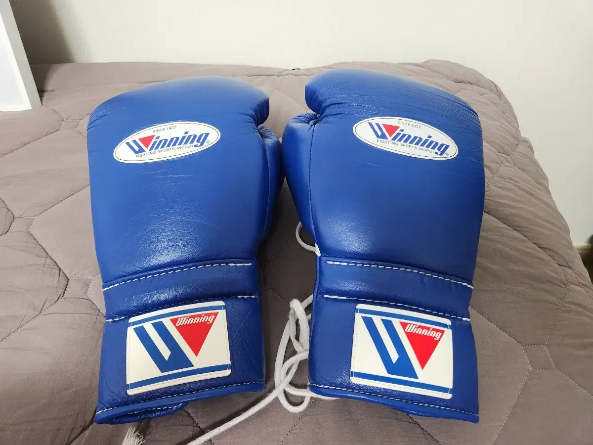Winning Blue 12oz Lace-up