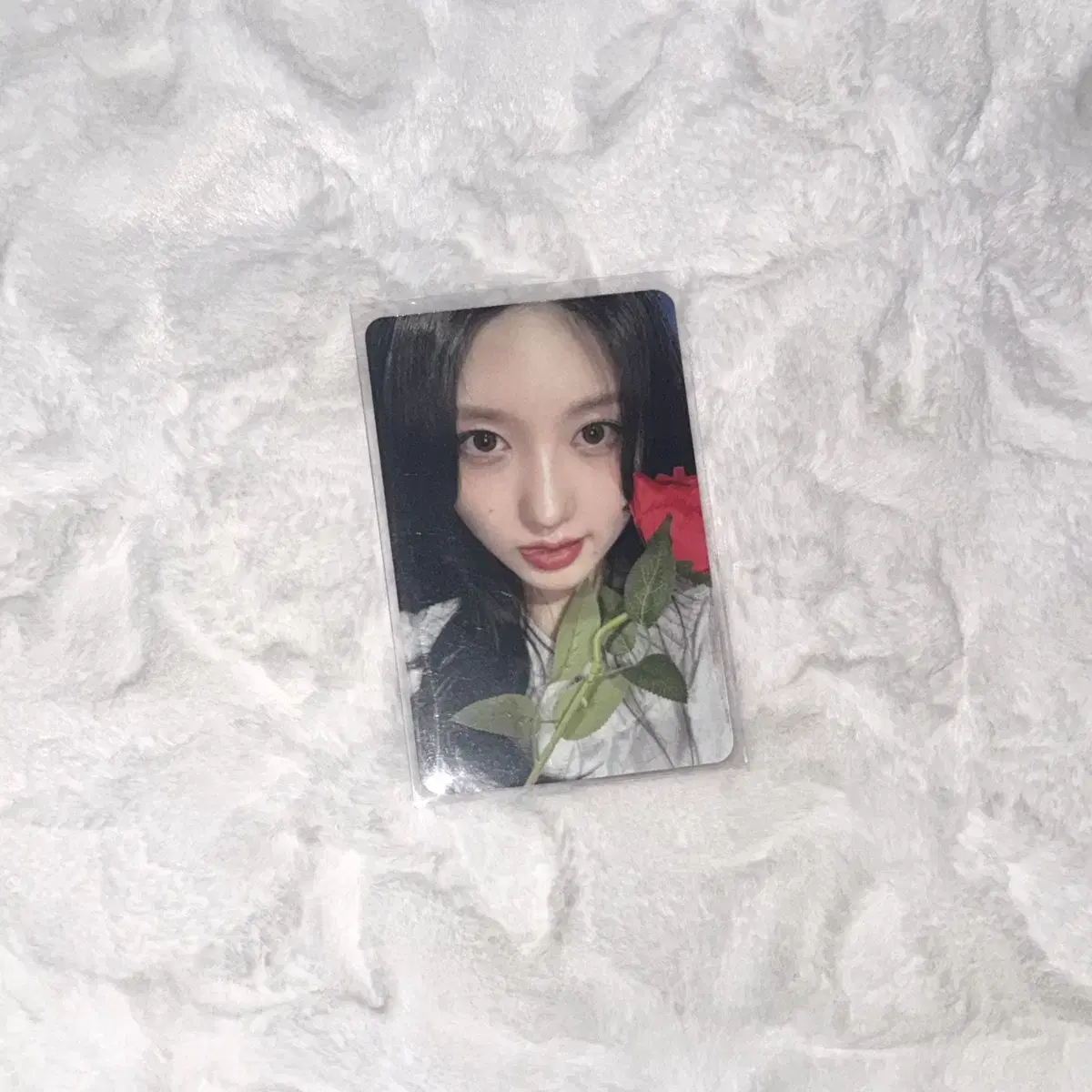 아이브 가을 엠파시 애플뮤직 4차 포카 양도