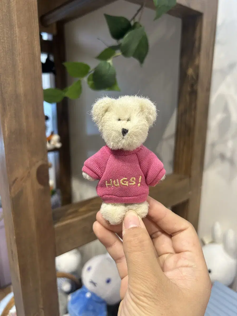 보이즈베어 쪼꼬미 HUG