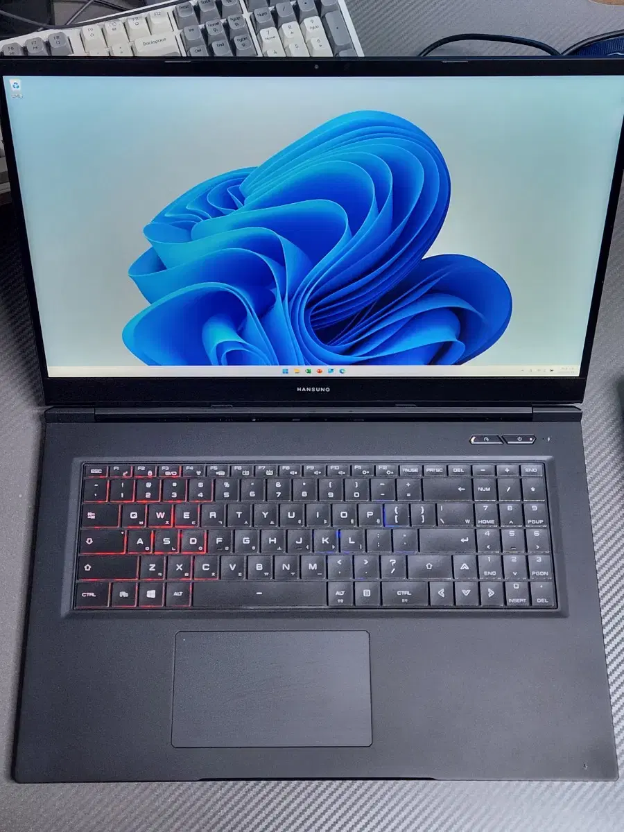 5900hx rtx3070 17인치 게이밍노트북