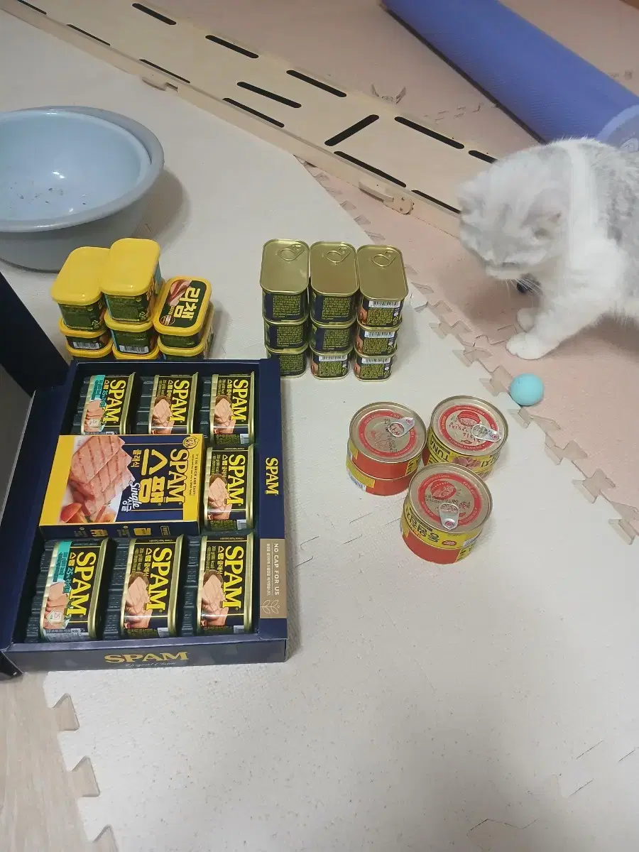 Spam