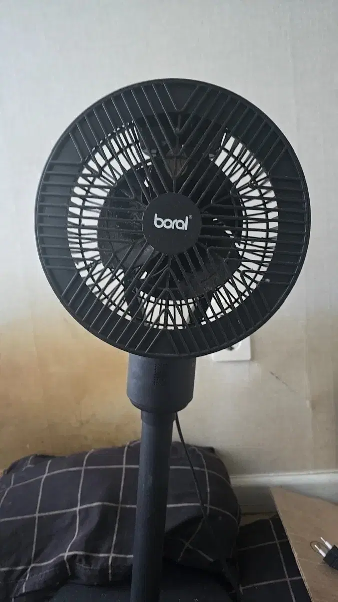 Fan