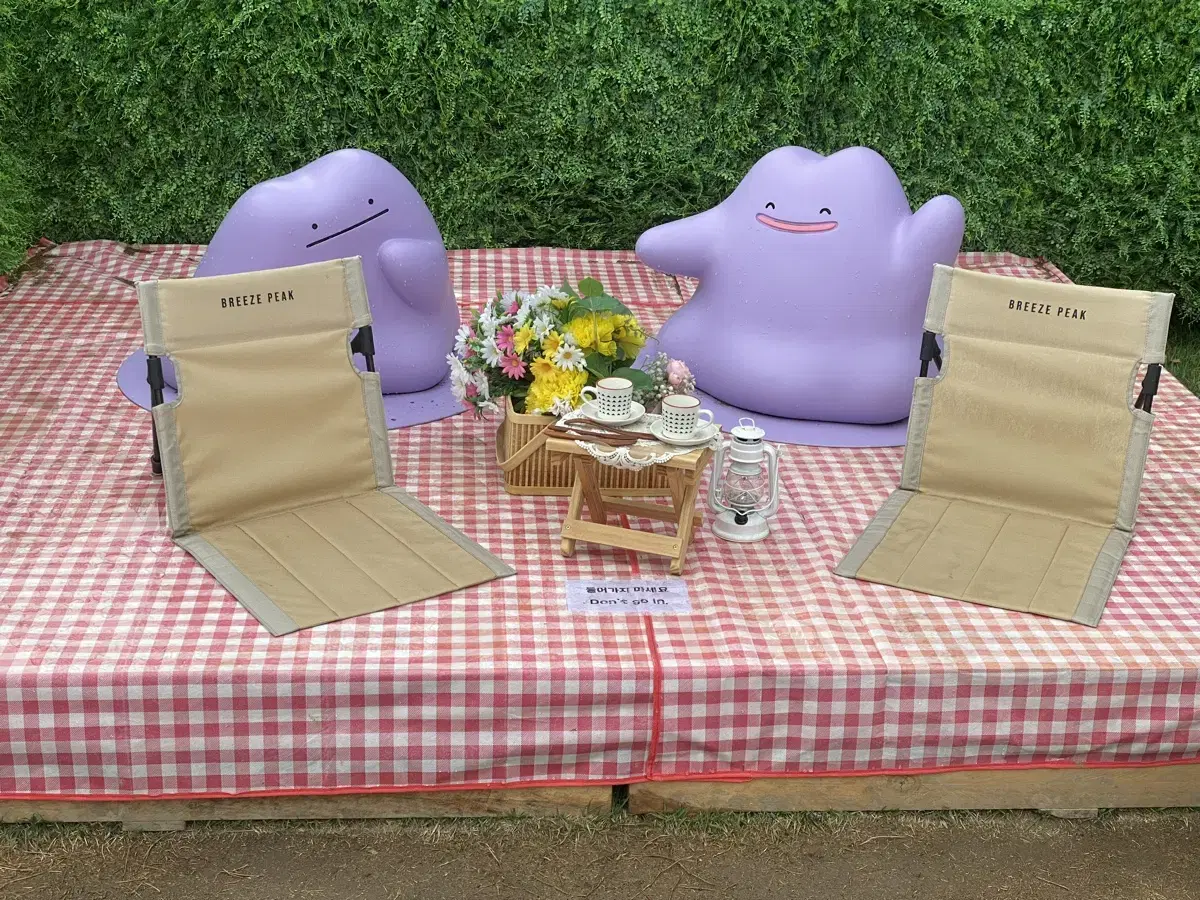 Ditto Promo Card