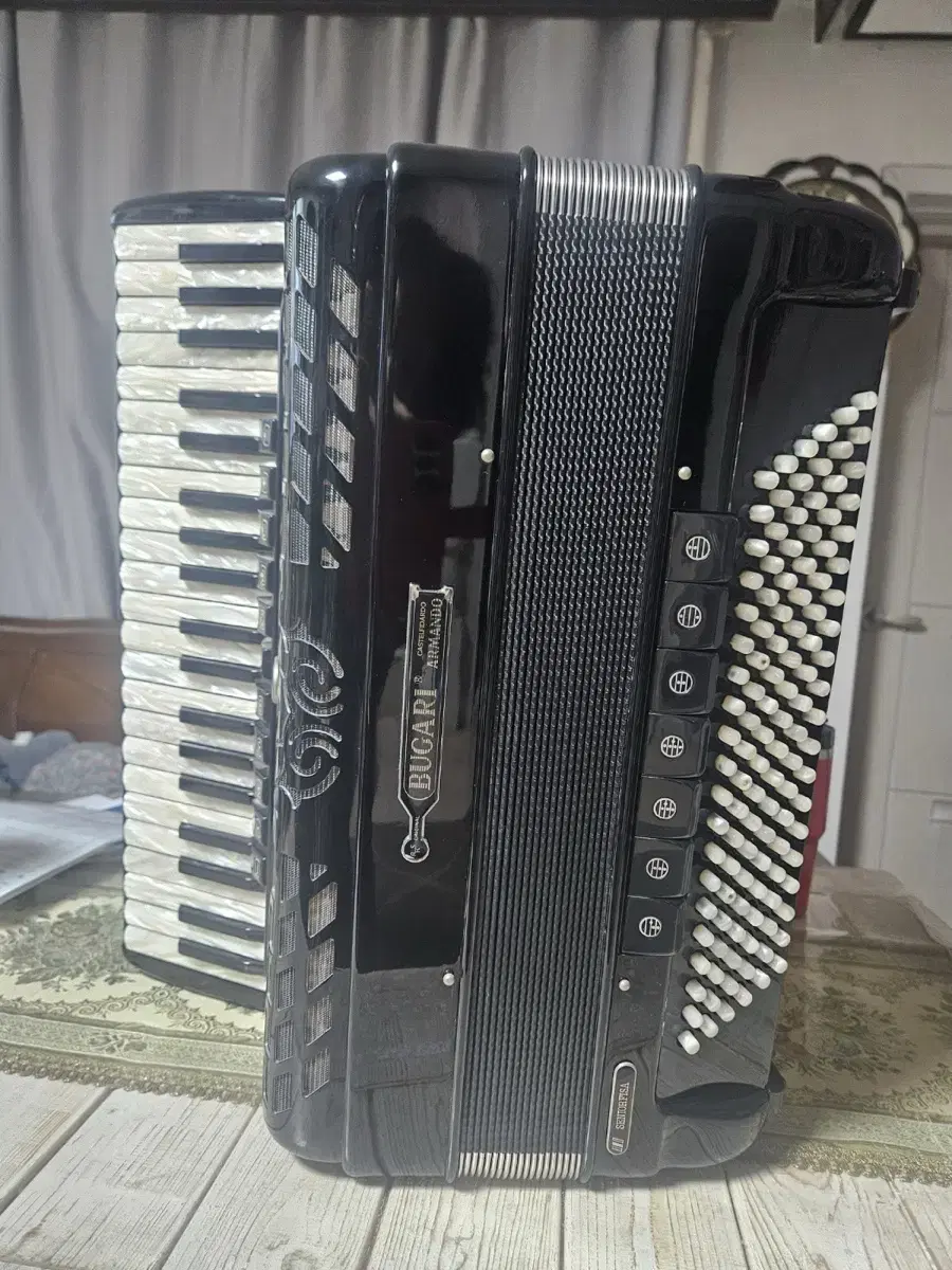 Bugari 160 se아코디언 판매합니다(클레식 연주 가능)