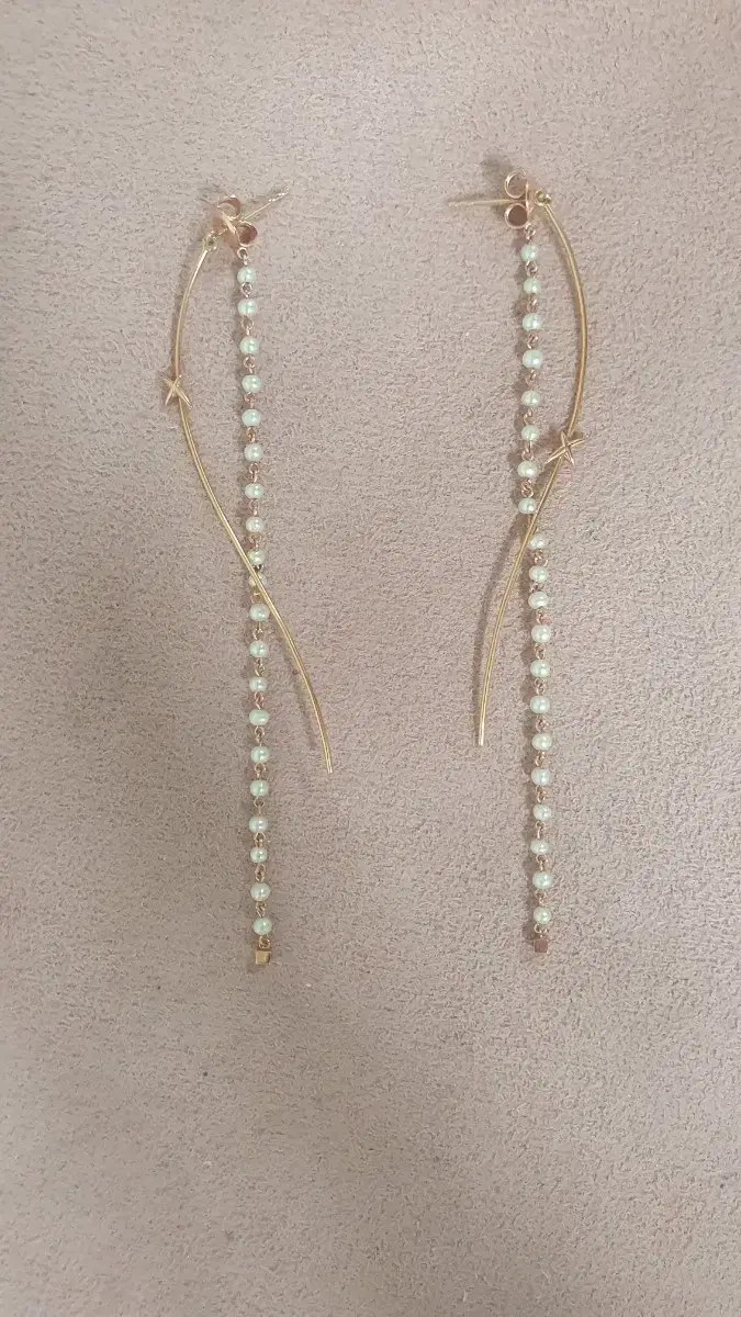 Didier Dubot 14k Earrings