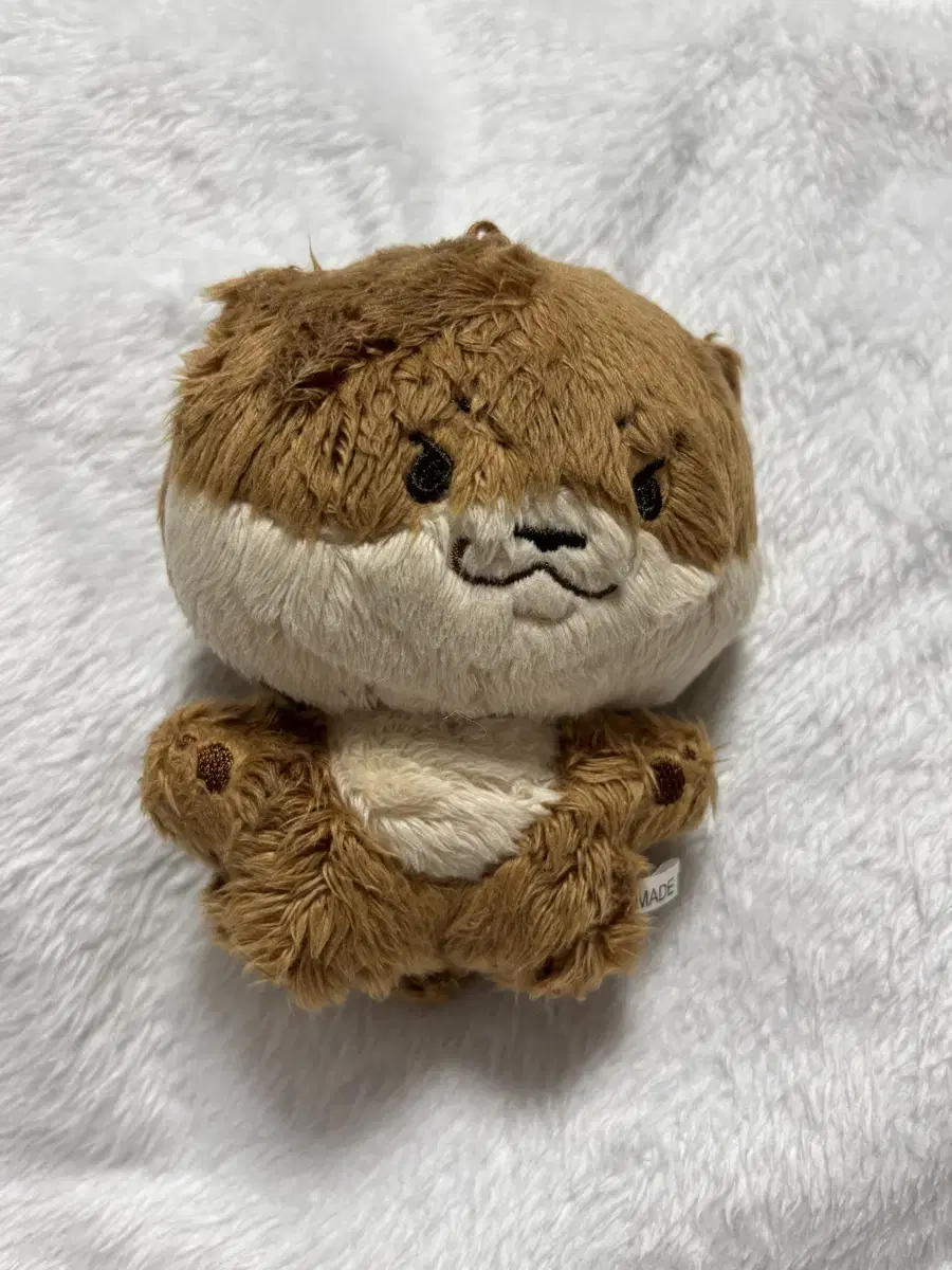 세븐틴 디노 10cm 인형 달차니