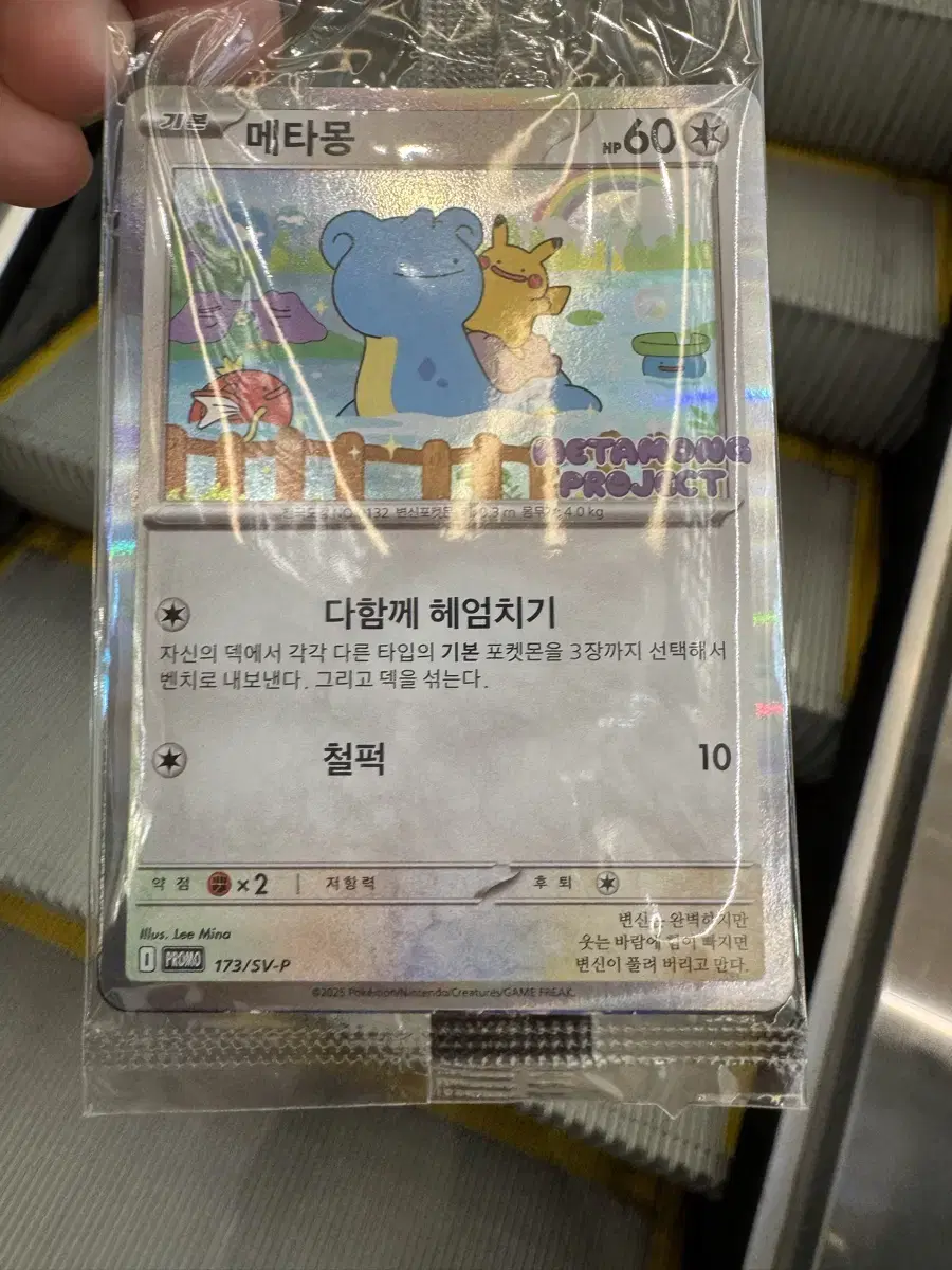 포켓몬 메타몽 카드