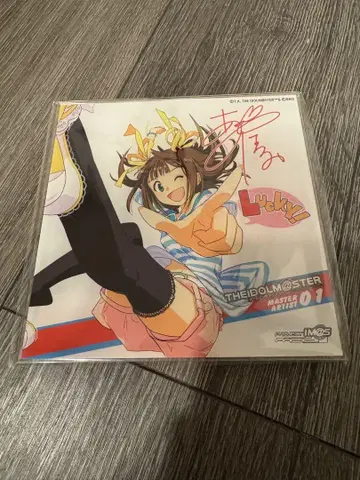 CD 자켓 아크릴 아트  아마미 하루카