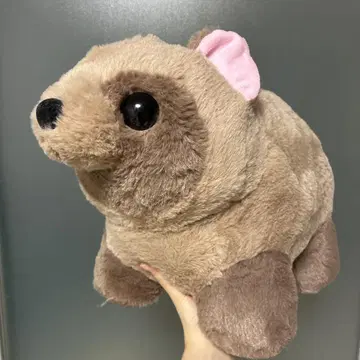 최종 가격 인하 너구리 봉제 인형 BIG 봉제 인형 너구리