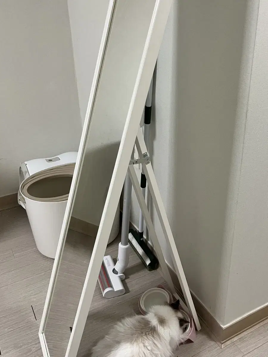 Full-length mirror
