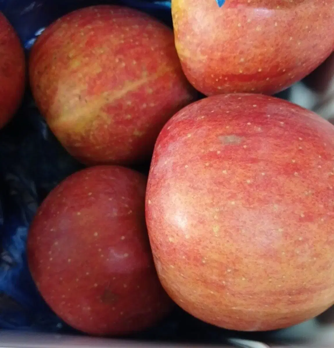 Gyeongbuk Fuji Apple 10kg Blemished Fruits are Good for Home Use and Juice~~