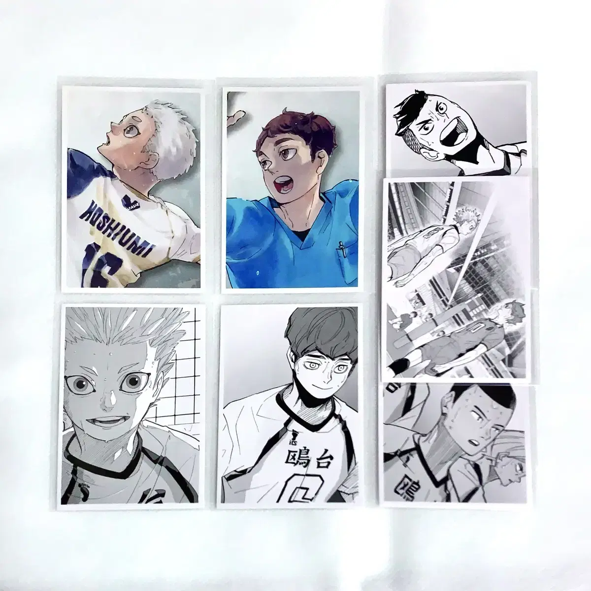 Haikyu) Kamomedai Hoshiumi Hirugami Chronicle Memory Snap Photocard