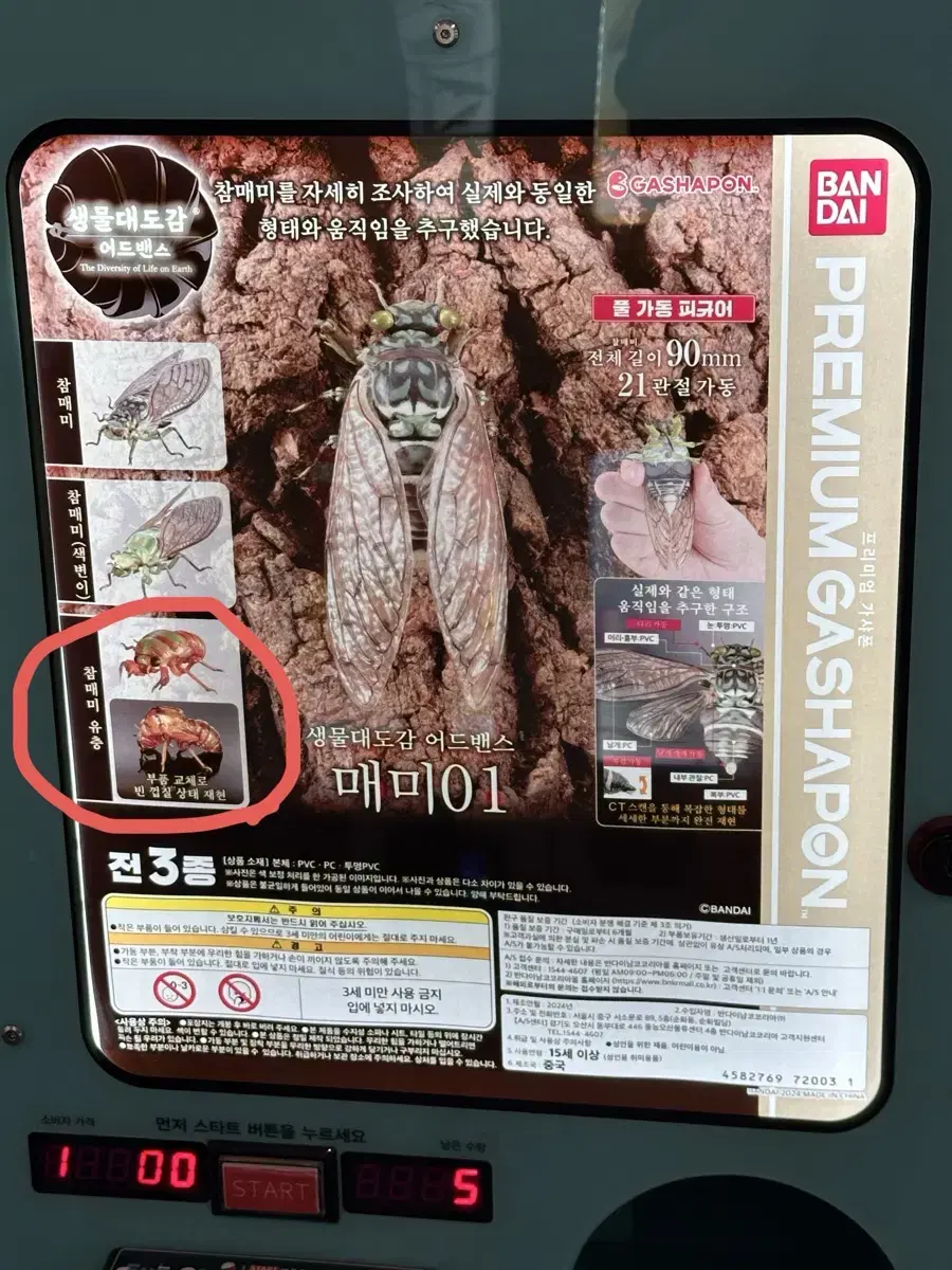 5월만 무료배송) 반다이 생물도감 매미유충