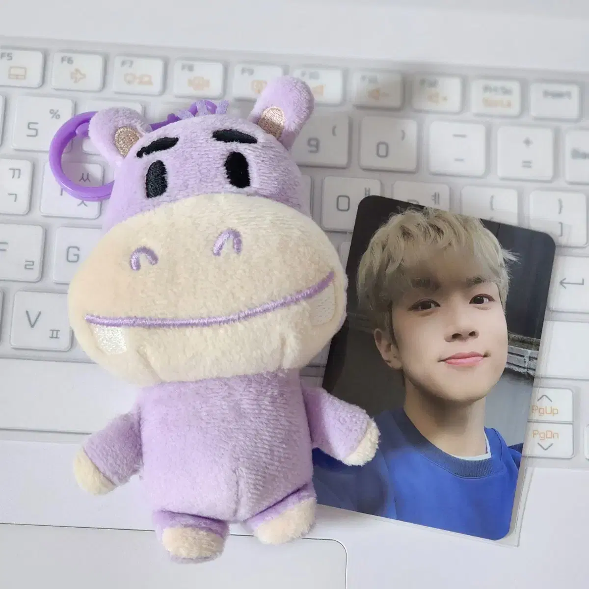 Nflying u Hoeseung doll Hamang + photocard