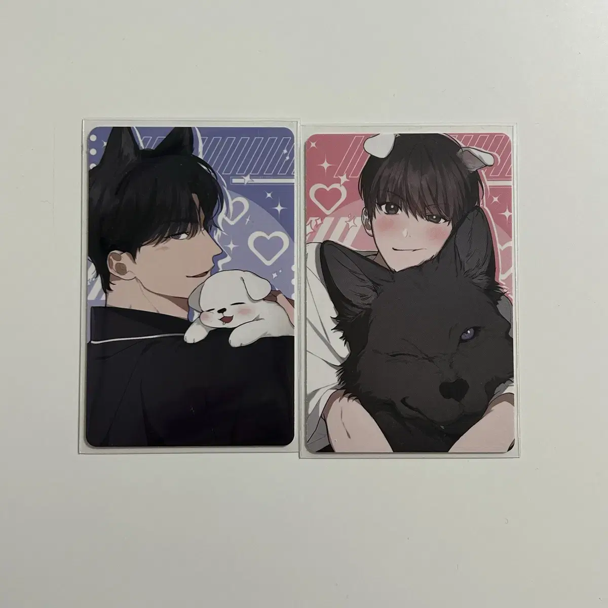 Don't Touch The Puppy Kang Gunma Brave Puppy Package poca