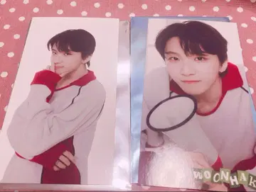 BOYNEXTDOOR 운학 구매 혜택 입장 혜택 카페 보넥도 보이넥 카드