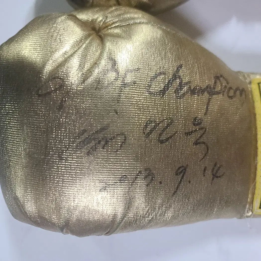 WBC 세계챔피언 지인진선수, 동양챔피언 서인욱선수 사인 공식 글러브