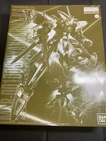 [조립 미완료] MG MSR-100 백식 개 프리미엄 반다이 한정판