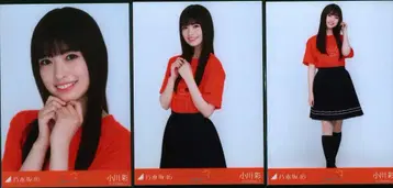 노기자카46 오가와 아야 히구치 히나 졸업 세레모니 티셔츠 컴프