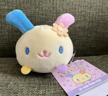 산리오 쫄깃쫄깃 구르르 우사하나 우사하나 미사용