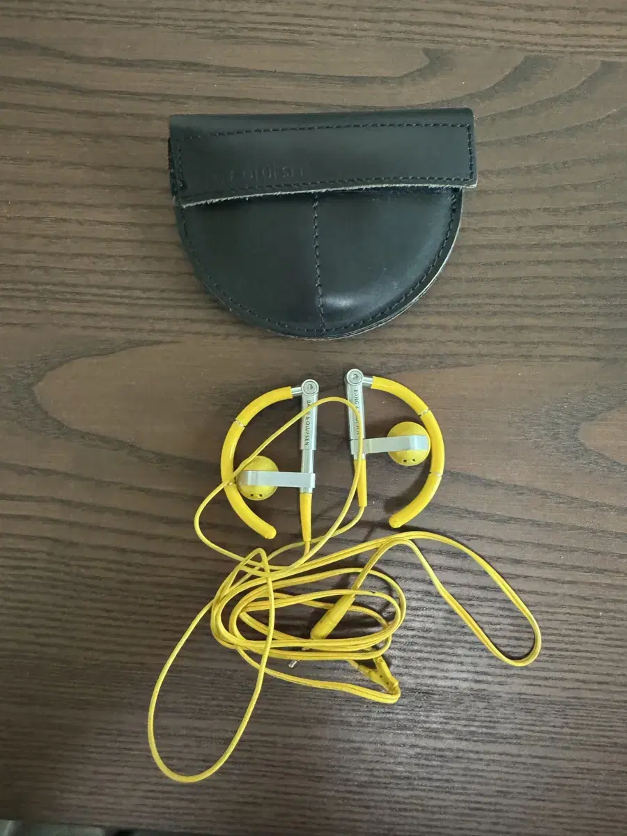 Bang & Olufsen a8 Earphones