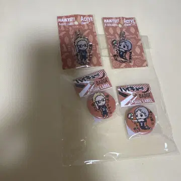 하이큐 B-SIDE label 비 사이드 쓰키시마 스가하라