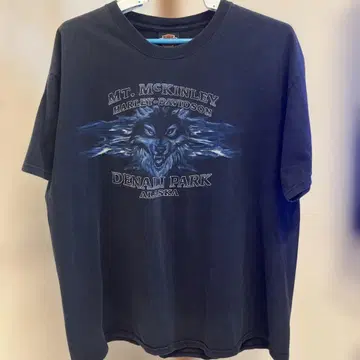 HARLEY-DAVIDSON 빈티지 티셔츠 XL 울프