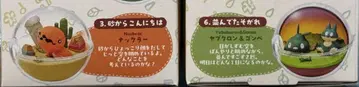 포켓몬 테라리움 컬렉션