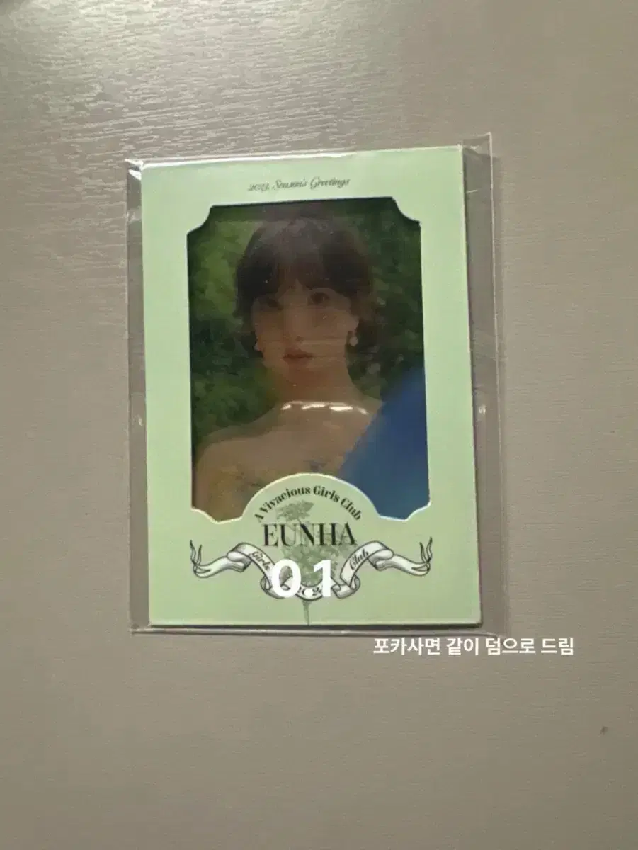Viviz Eunha season's greetings