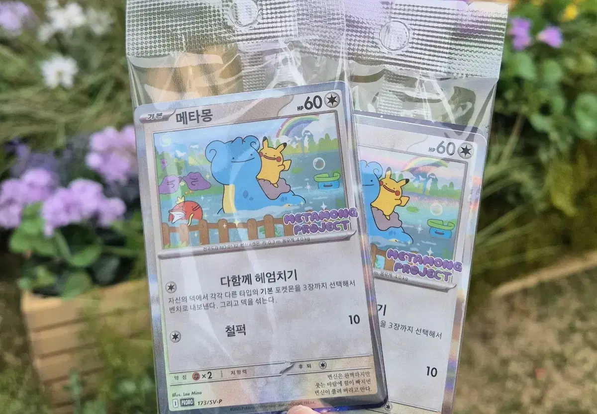Ditto card