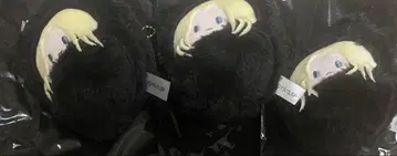 사카모토 데이즈 싸개 타피누이 시시바