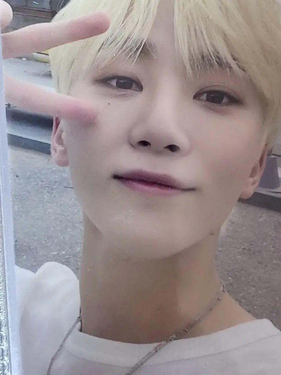 SECTOR 17 COMPACT ver. 위버스 JAPAN 승관 포카