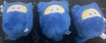 사카모토 데이즈 싸개 타피누이 아사쿠라 신
