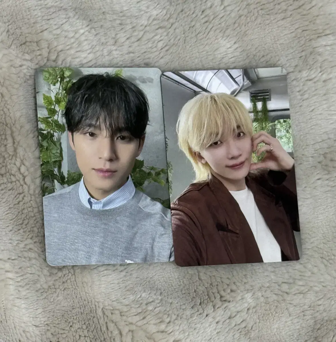 소비기한 타워레코트 민규,정한 일괄판매